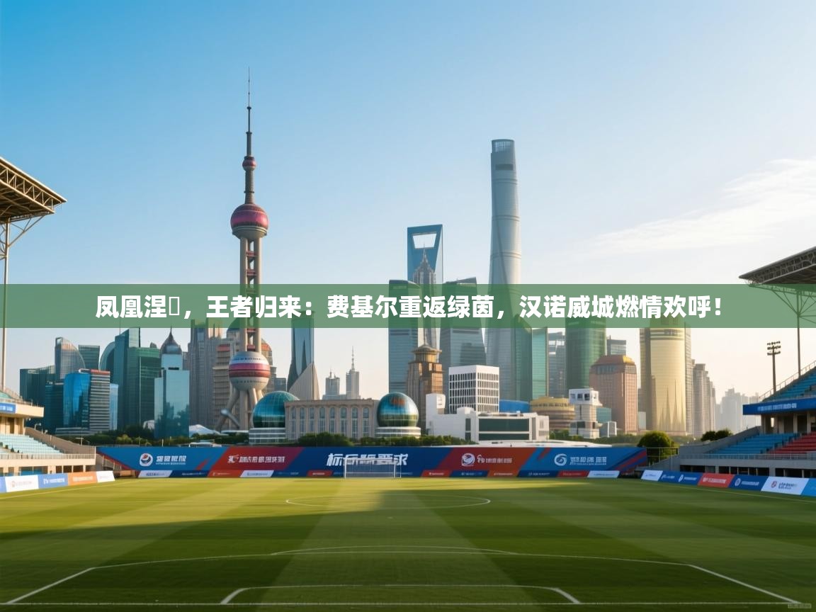 凤凰涅槃,王者归来:费基尔重返绿茵,汉诺威城燃情欢呼! 第2张