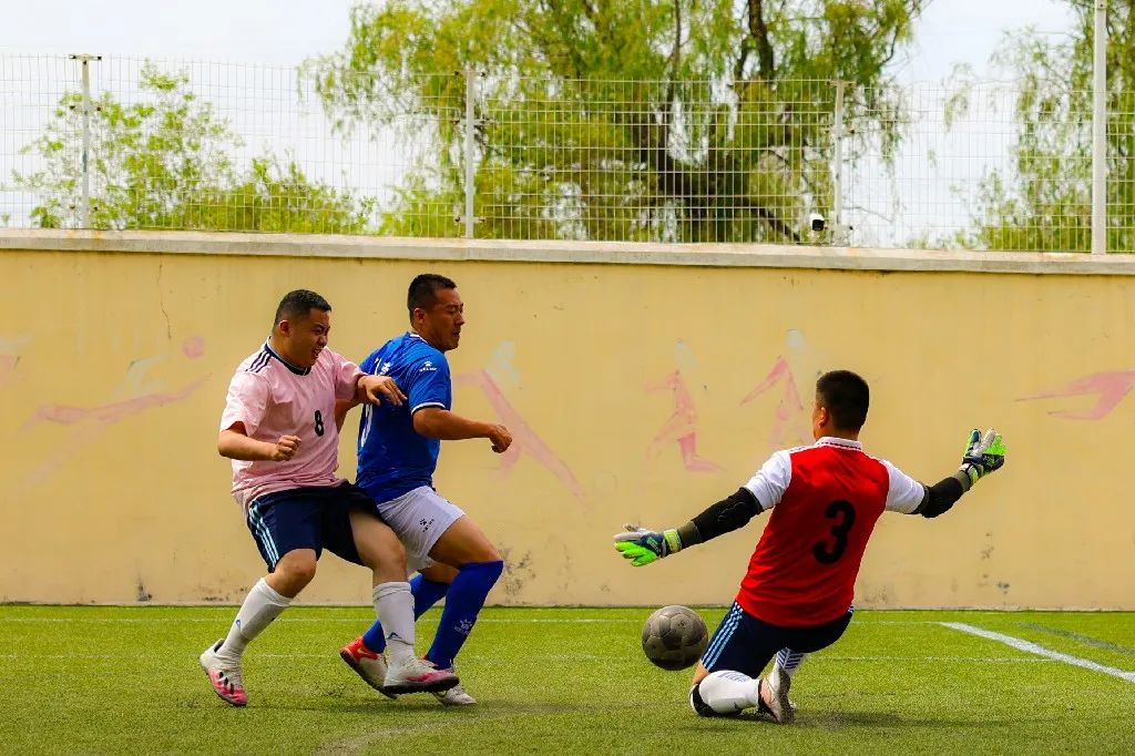 开云体育网页版登录入口-精彩足球比赛，球员们拼尽全力