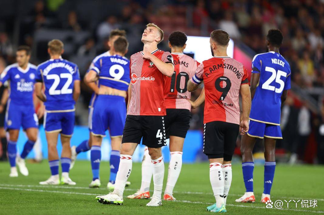 南安普顿主场击败水晶宫,取得胜利 南安普顿主场击败水晶宫,取得胜利