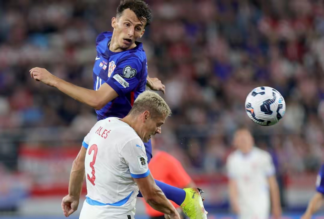 瑞典绝杀波兰,成功闯入欧洲杯半决赛 瑞典绝杀波兰,成功闯入欧洲杯半决赛